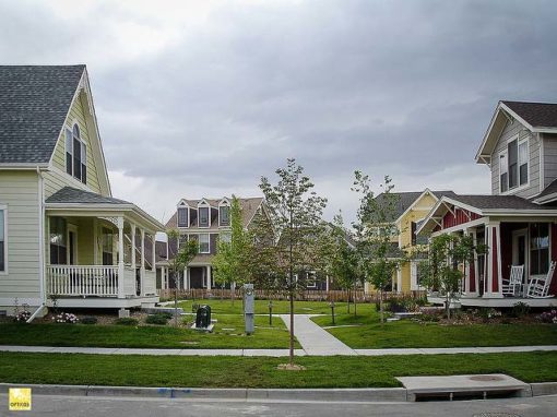 small trees between houses