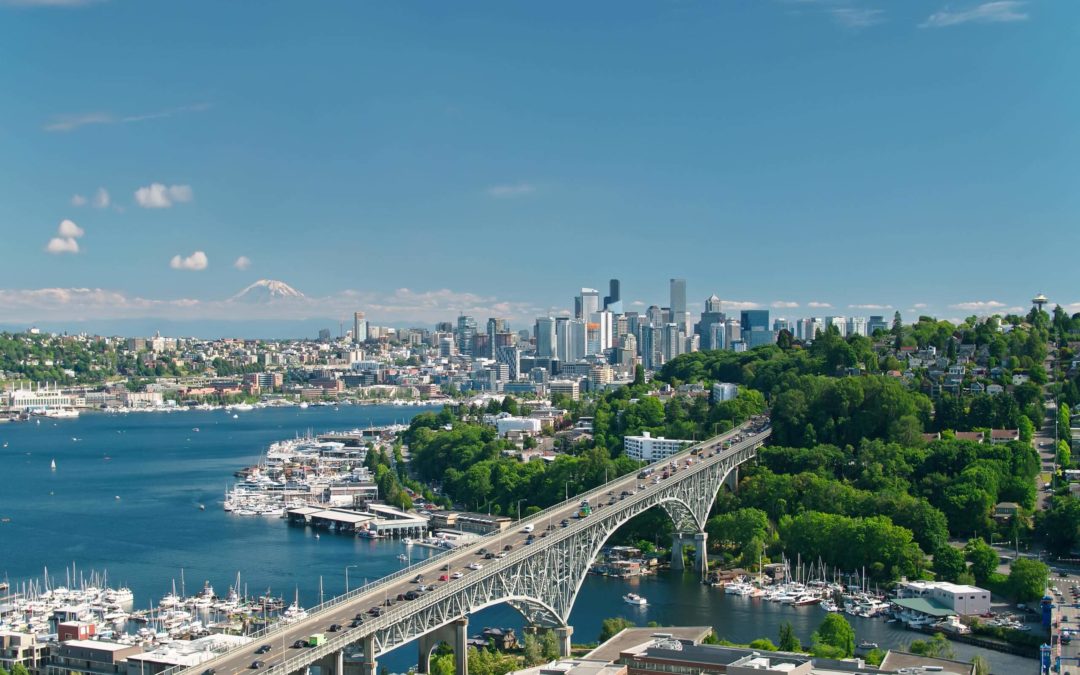 Seattle’s Updated Tree Code Creates More Balance