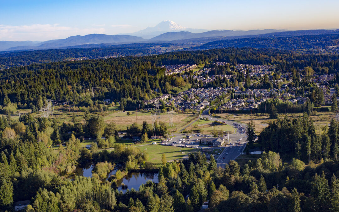 Snohomish County: A Regional Leader in Balanced Tree Policies