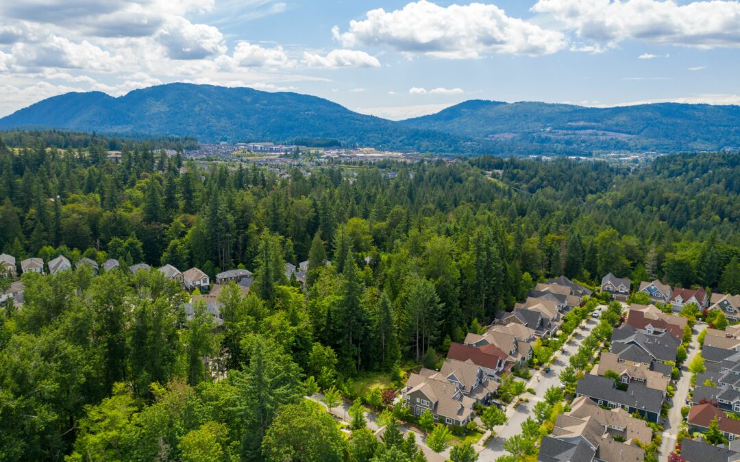 Tree Replacement Grows Overall Canopy and Makes Room for Housing